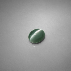 0.75克拉天然绿色Chrysoberyl Cat's Eye，椭圆形切割，5.5×4.4毫米，半透明