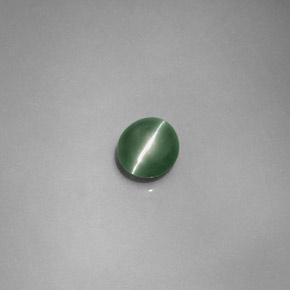 0.79克拉天然绿色Chrysoberyl Cat's Eye，椭圆形切割，5.2×4.8毫米，半透明