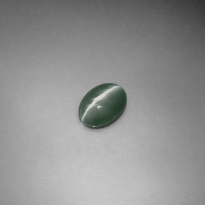 0.55克拉天然绿色Chrysoberyl Cat's Eye，椭圆形切割，6×4.4毫米，半透明