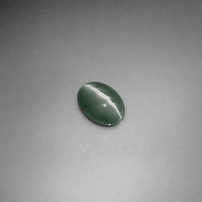 0.55克拉天然绿色Chrysoberyl Cat's Eye，椭圆形切割，6×4.4毫米，半透明
