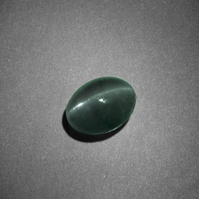 1.26克拉天然绿色Chrysoberyl Cat's Eye，椭圆形切割，6.5×5.1毫米，不透明