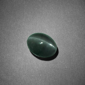 1.26克拉天然绿色Chrysoberyl Cat's Eye，椭圆形切割，6.5×5.1毫米，不透明