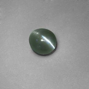 0.71克拉天然绿色Chrysoberyl Cat's Eye，椭圆形切割，5.1×4.8毫米，半透明