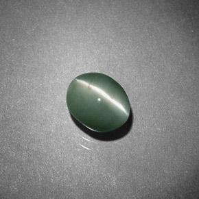 0.93克拉天然绿色Chrysoberyl Cat's Eye，椭圆形切割，6×4.8毫米，半透明