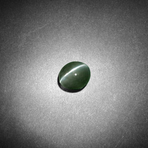 0.53克拉天然绿色Chrysoberyl Cat's Eye，椭圆形切割，5.9×4.4毫米，半透明