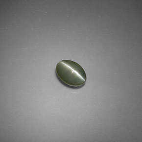 0.79克拉天然绿色Chrysoberyl Cat's Eye，椭圆形切割，6.1×4.1毫米，半透明