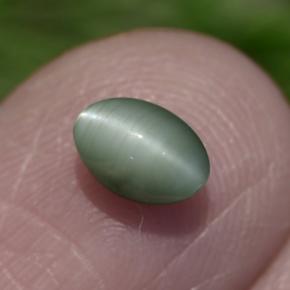 0.86克拉天然绿色Chrysoberyl Cat's Eye，椭圆形切割，6×4.2毫米，不透明