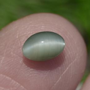 0.86克拉天然绿色Chrysoberyl Cat's Eye，椭圆形切割，6×4.2毫米，不透明