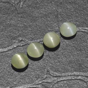 1.88天然绿色Chrysoberyl Cat's Eye，圆形切割，4.06毫米，半透明