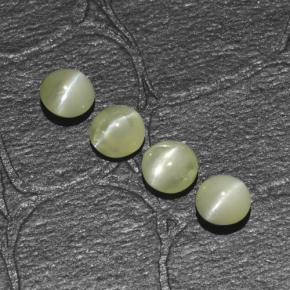 1.54天然绿色Chrysoberyl Cat's Eye，圆形切割，4.06毫米，半透明
