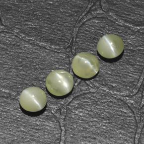 1.54天然绿色Chrysoberyl Cat's Eye，圆形切割，4.06毫米，半透明