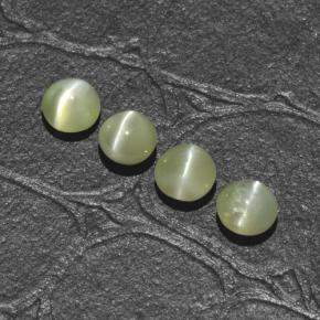 1.66天然绿色Chrysoberyl Cat's Eye，圆形切割，4.00毫米，半透明