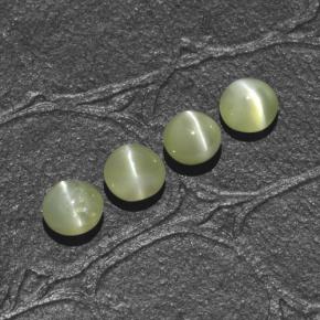 1.66天然绿色Chrysoberyl Cat's Eye，圆形切割，4.00毫米，半透明