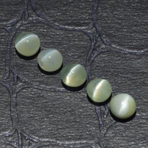2.53天然绿色Chrysoberyl Cat's Eye，圆形切割，4.04毫米，半透明