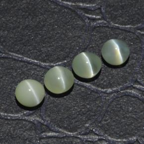 1.65天然绿色Chrysoberyl Cat's Eye，圆形切割，4.01毫米，半透明