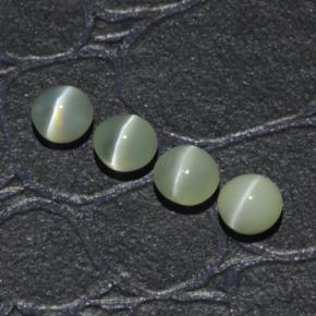1.65天然绿色Chrysoberyl Cat's Eye，圆形切割，4.01毫米，半透明
