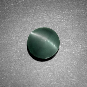 1.08克拉天然绿色Chrysoberyl Cat's Eye，圆形切割，5.97毫米，不透明