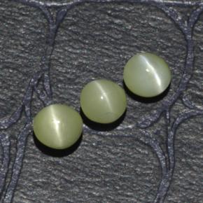 1.15天然绿色Chrysoberyl Cat's Eye，圆形切割，3.95毫米，半透明