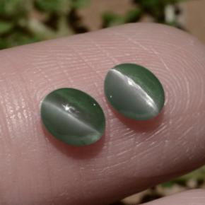 1.06天然绿色Chrysoberyl Cat's Eye，椭圆形切割，5.4×4.4毫米，半透明