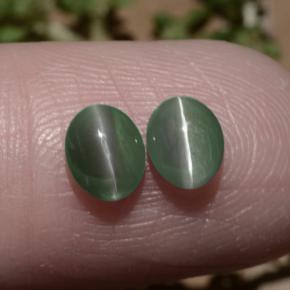 1.06天然绿色Chrysoberyl Cat's Eye，椭圆形切割，5.4×4.4毫米，半透明