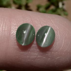 1.06天然绿色Chrysoberyl Cat's Eye，椭圆形切割，5.4×4.4毫米，半透明