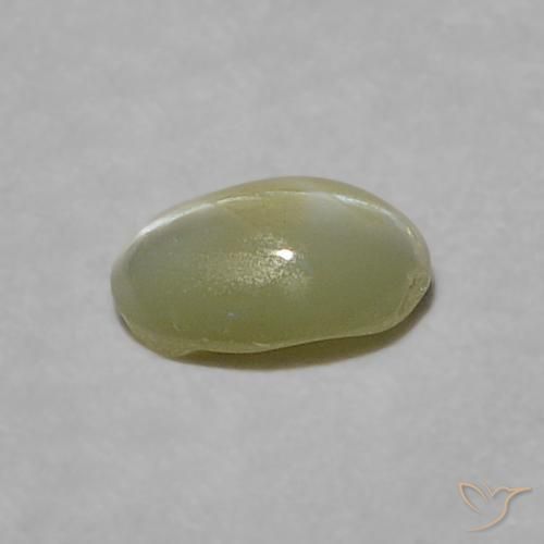 0.23克拉天然金绿玉猫眼，椭圆形，半透明