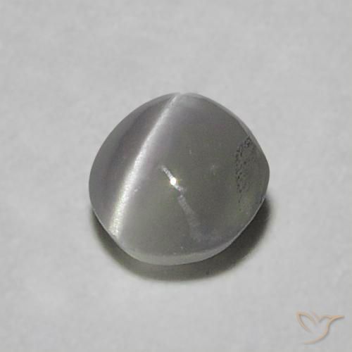 0.22克拉天然金绿玉猫眼，圆形的，半透明