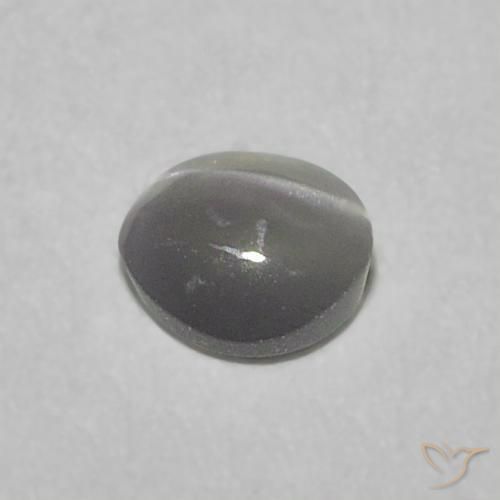 0.22克拉天然金绿玉猫眼，圆形的，半透明