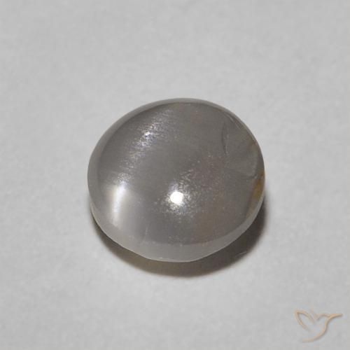 0.62克拉天然金绿玉猫眼,椭圆形,不透明