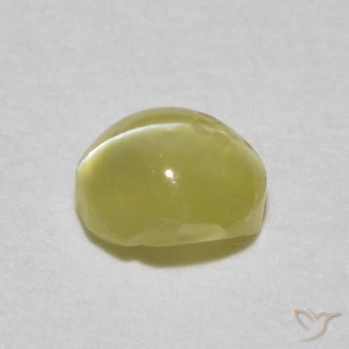 0.34克拉天然金绿玉猫眼，椭圆形，半透明