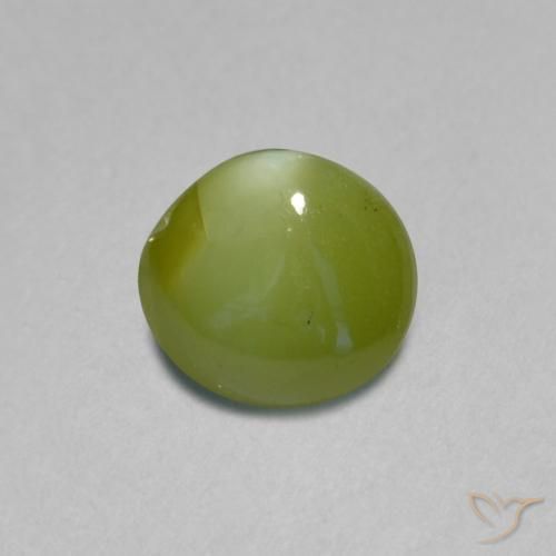 0.89克拉天然绿色Chrysoberyl Cat's Eye，椭圆形切割，5.7×5.3毫米，半透明