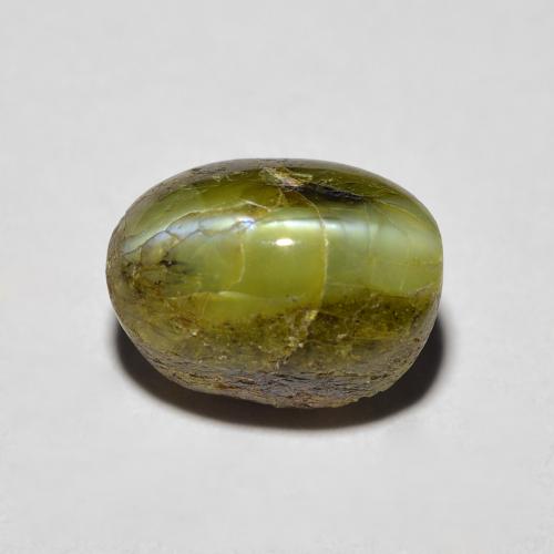 3.69克拉天然绿色Chrysoberyl Cat's Eye，椭圆形切割，8.7×6.3毫米，不透明