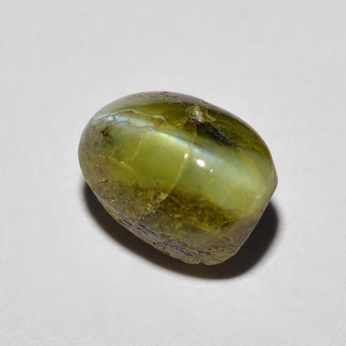 3.69克拉天然绿色Chrysoberyl Cat's Eye，椭圆形切割，8.7×6.3毫米，不透明