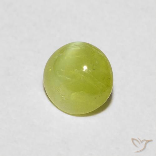 0.31克拉天然金绿玉猫眼，椭圆形，半透明