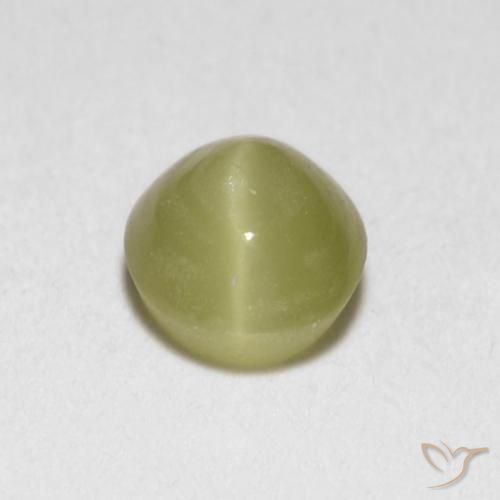 0.40克拉天然黄色Chrysoberyl Cat's Eye，椭圆形切割，4.2×4毫米，半透明