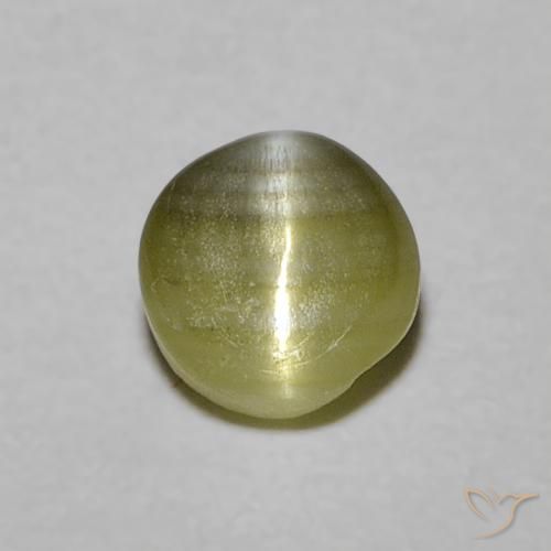 0.52ct 天然 黄绿色 金绿玉猫眼, 圆形的, 半透明