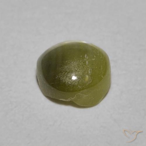 0.52克拉天然金绿玉猫眼，圆形的，半透明