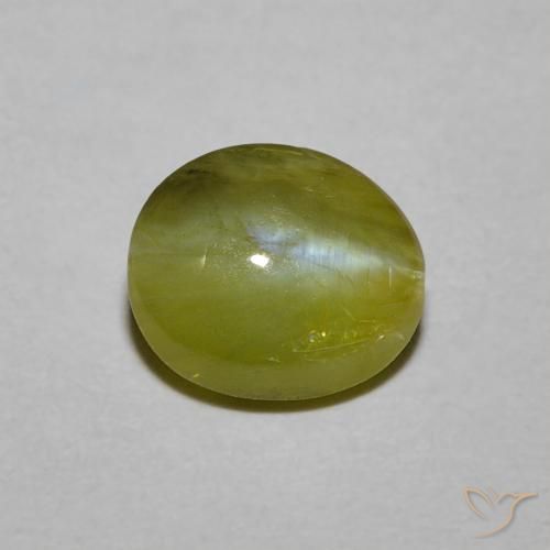 1.21克拉天然绿色Chrysoberyl Cat's Eye，椭圆形切割，6.5×5.7毫米，半透明