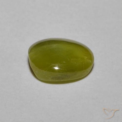 1.21克拉天然绿色Chrysoberyl Cat's Eye，椭圆形切割，6.5×5.7毫米，半透明