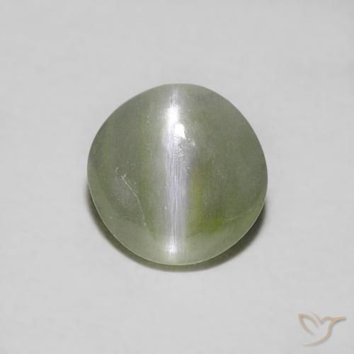 0.39ct 天然 大地绿 金绿玉猫眼, 圆形的, 半透明