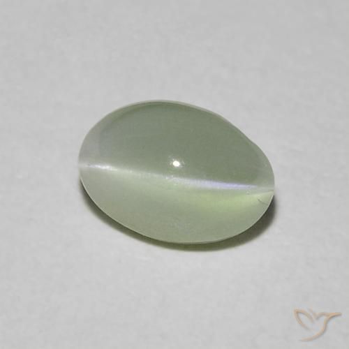 0.90克拉天然绿色Chrysoberyl Cat's Eye，椭圆形切割，5.7×3.9毫米，半透明