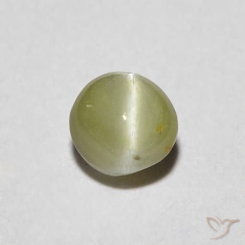 0.48ct 天然 温暖的森林绿 金绿玉猫眼, 椭圆形, 半透明