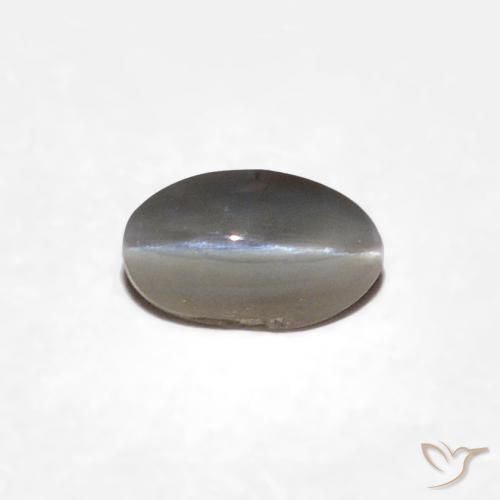 0.29ct 天然 非常浅灰色 金绿玉猫眼, 椭圆形, 不透明