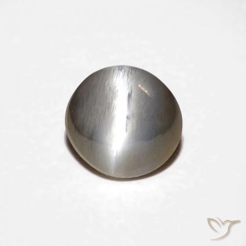 0.50ct 天然 非常浅灰色 金绿玉猫眼, 椭圆形, 不透明