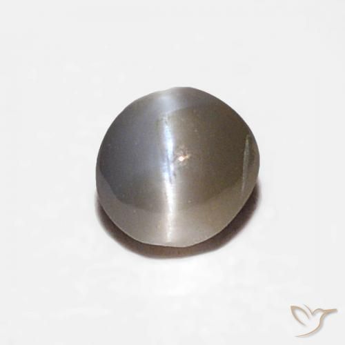 0.29ct 天然淡黄色金绿玉猫眼, 圆形的, 半透明