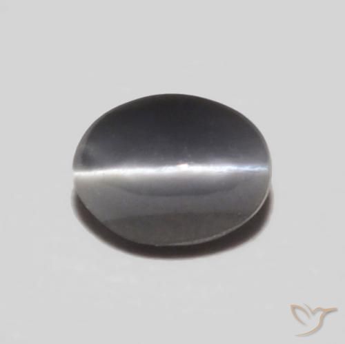 0.30ct 天然 中灰色 金绿玉猫眼, 椭圆形, 不透明