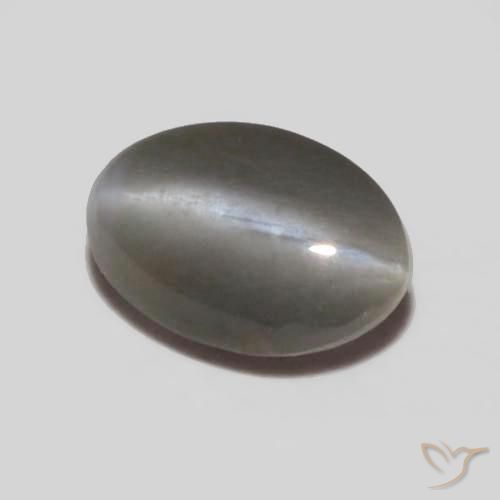 0.25ct 天然 中灰色 金绿玉猫眼, 椭圆形, 不透明