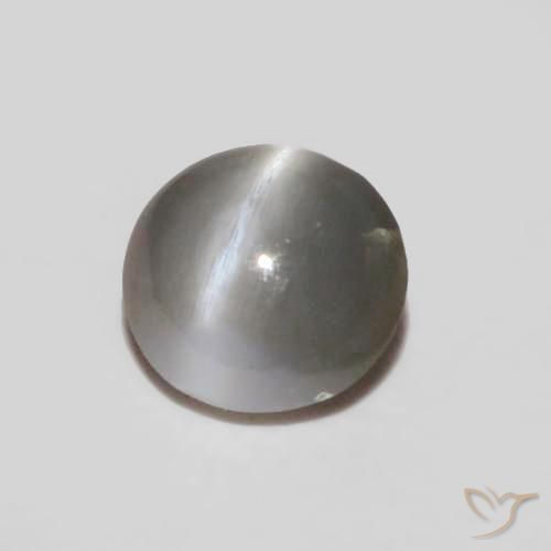 0.24ct 天然 中灰色 金绿玉猫眼, 椭圆形, 不透明