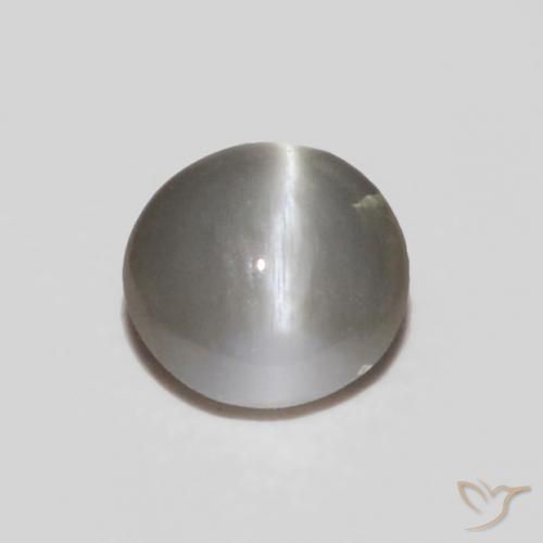 0.24克拉天然金绿玉猫眼，椭圆形，不透明