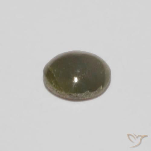 0.14克拉天然金绿玉猫眼，椭圆形，不透明